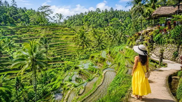Tegallalang Rice Terraces